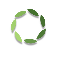 Al Sanad International