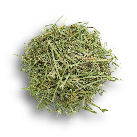 Alfalfa Hay (Al Sanad International)